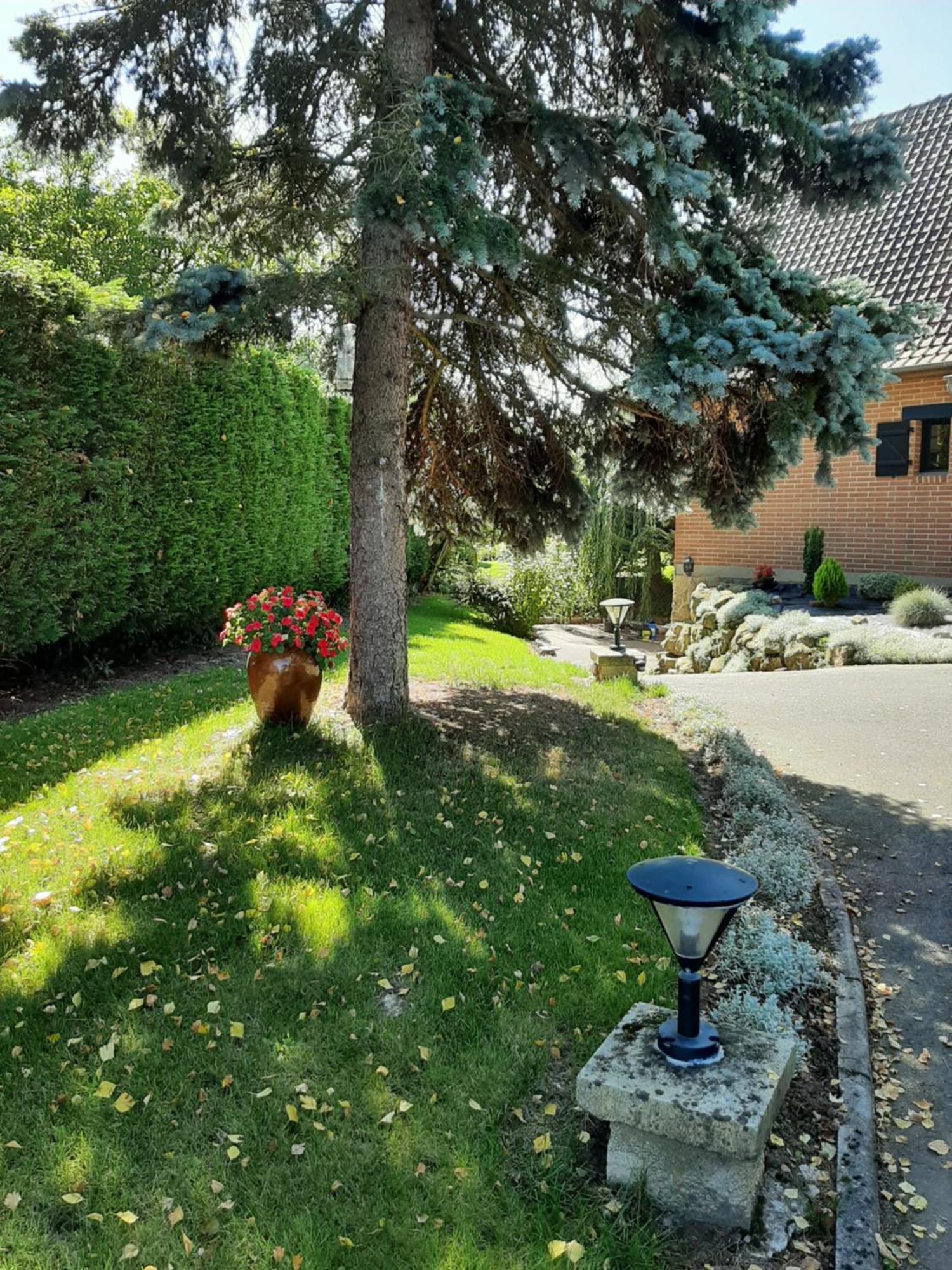 Bed and Breakfast Le Refuge Du Hibou à Beaurains Extérieur photo